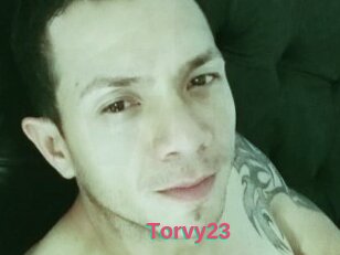 Torvy23