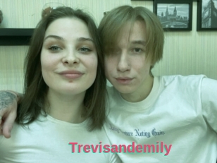 Trevisandemily