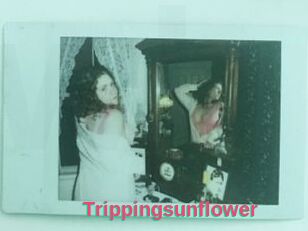 Trippingsunflower