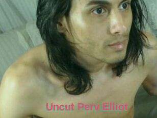Uncut_Perv_Elliot
