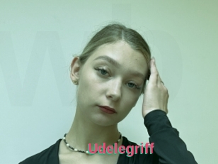 Udelegriff