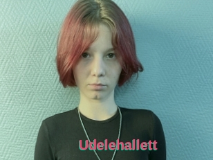 Udelehallett