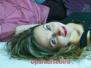 Uparadisebird