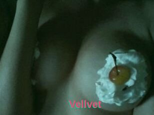 Vellvet