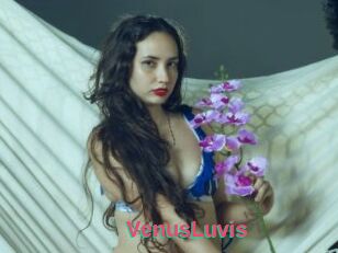 VenusLuvis