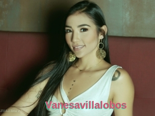 Vanesavillalobos