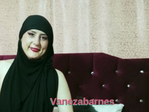 Vanezabarnes