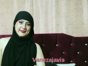 Vanezajavis
