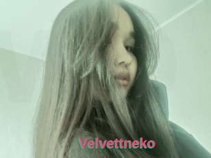 Velvettneko