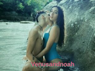 Venusandnoah