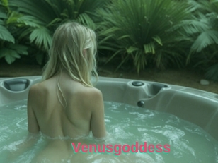 Venusgoddess