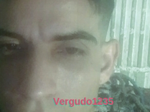 Vergudo1235