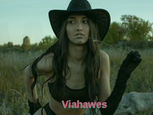 Viahawes