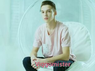 Viggomister