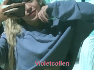 Violetcollen