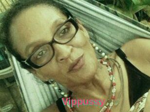 Vippussy