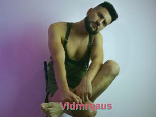 Vldmrgaus