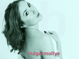 Vulgarmollye