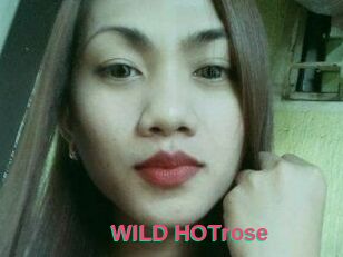 WILD_HOTrose