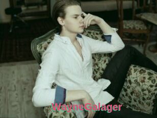WayneGalager