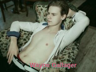 Wayne_Gallager