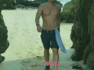 WeS1