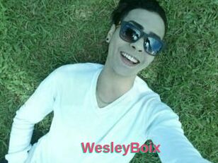 Wesley_Boix