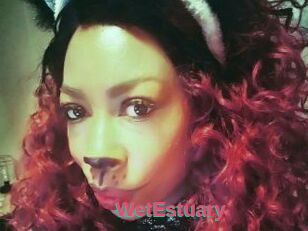 WetEstuary