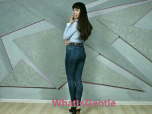 WhatIsGentle