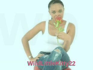 WildLittleKitty22