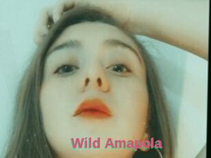 Wild_Amapola