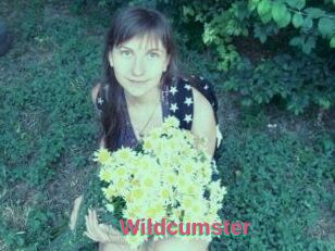 Wildcumster