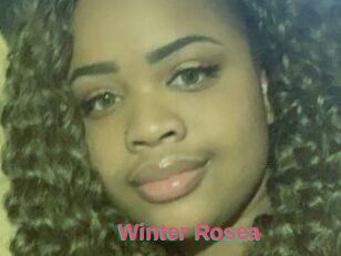 Winter_Rosea
