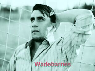 Wadebarnes