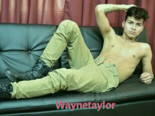 Waynetaylor