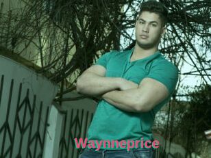 Waynneprice