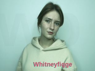 Whitneyfigge