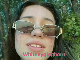 Whitneygleghorn