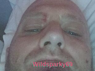 Wildsparky69