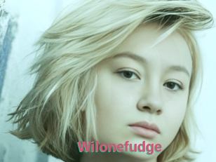 Wilonefudge
