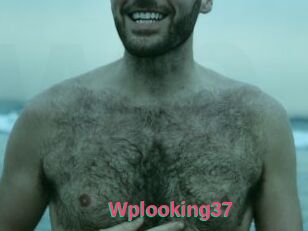 Wplooking37