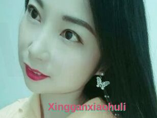 Xingganxiaohuli