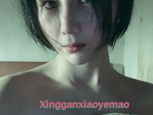 Xingganxiaoyemao