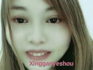Xingganyeshou