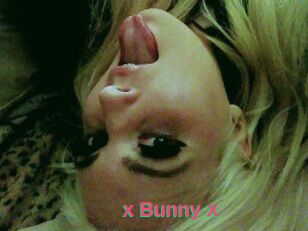 _x_Bunny_x_