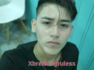 Xbreakingrulesx