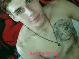 Xescanory1