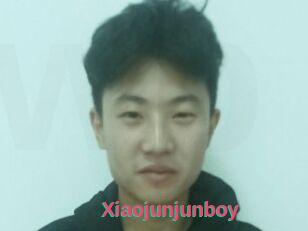 Xiaojunjunboy