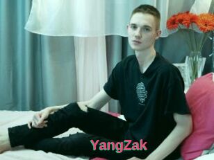 YangZak