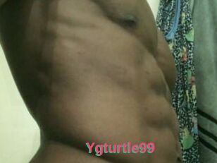 Ygturtle99